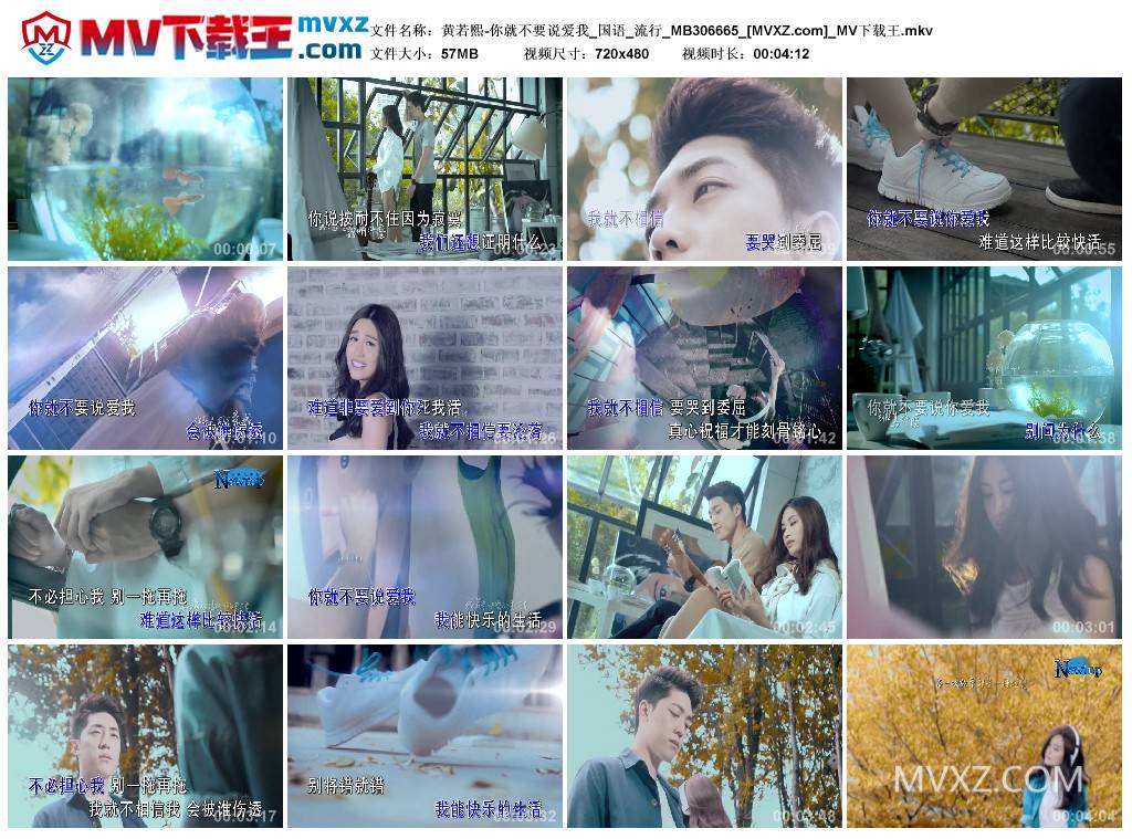 黄若熙-你就不要说爱我_国语_流行_MB306665